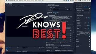 PREMIERE PRO 🎬 FLACKERN NACH RENDERN 👾  EXPORTIEREN BEHEBEN ❗ DeOknowsBEST 🤓 [upl. by Enaud]