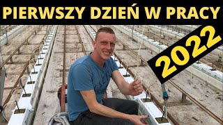 PIERWSZY DZIEŃ PRACY W 2022 ROKU  HOLANDIA [upl. by Odravde20]