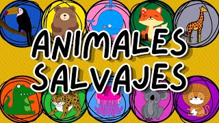 ANIMALES SALVAJES  ¿QUÉ SON  EJEMPLOS [upl. by Casimire]