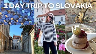 Day trip to Bratislava main attractions food spots free sightseeings [upl. by Luckett]