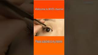 눈이 2배 커지는 메이크업 눈썹그리는법 eyebrows eyelashes eyelashextensions 아이브로우 beauty [upl. by Yrelbmik]