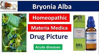 Bryonia Alba Homeopathic Medicine  Drug Picture  Materia Medica bhms bryonia [upl. by Hagi]