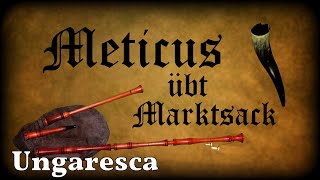 Meticus übt Marktsack Ungaresca Dudelsack Sackpfeife German Bagpipe [upl. by Gittel]