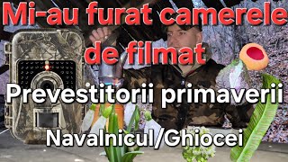 Prevestitorii primaverii Ciuperci și planteMiau furat camerele video [upl. by Hartzell197]