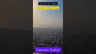 Gevora Hotel Dubai Full Tour dubai hotel [upl. by Aerol]