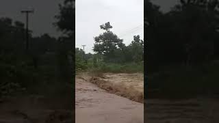 Purnagiri marg Tanakpur prasxor purnagirimandir​ flood​ river​ uttarakhand​ tanakpur​ vita [upl. by Hereld]