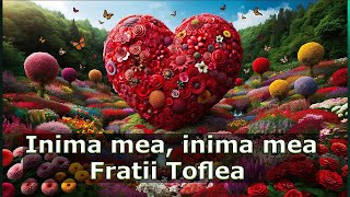 Fratii Toflea  Inima mea inima mea [upl. by Burkley]