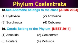 Phylum Coelenterata  11 class Biology preparations [upl. by Nochur]