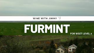 Grape Varieties  Furmint Intermediate Version ideal for WSET Level 2 Wine [upl. by Vale]