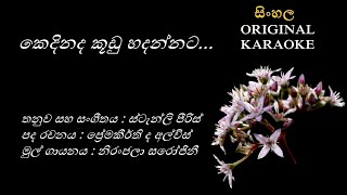 Kedinada Koodu Hadannata  කෙදිනද කූඩු හදන්නටKARAOKE Niranjala SarojiniPremakeerthiStanly Peiris [upl. by Idonna]