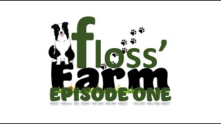 Floss Farm Pilot Episode [upl. by Bess]