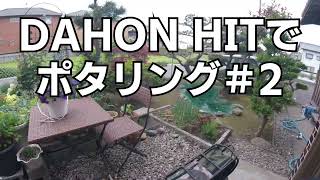 DAHON HIT ポタリング ＃2 [upl. by Congdon]