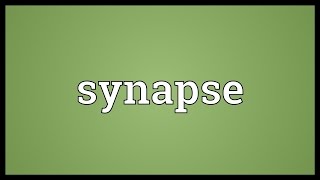 Synapse Meaning [upl. by Eimile]