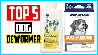 ✅Top 5 Best Dog Dewormer Reviews in 2024 [upl. by Mcdade301]