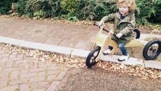 Trybike  loopfiets voor kinderen vanaf 1 jaar [upl. by Chauncey]