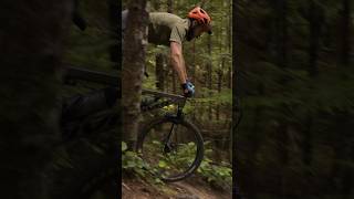 Pivot Firebird vs Yeti SB160 [upl. by Howlend]