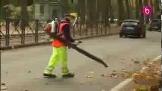 Ramassage des feuilles et branches après la tempête [upl. by Orlov]