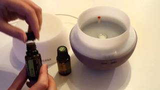 How to use a diffuser for your Essential Oils [upl. by Nilpik]