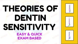 Theories of Dentin Hypersensitivity  Hydrodynamic Theory [upl. by Odrautse]