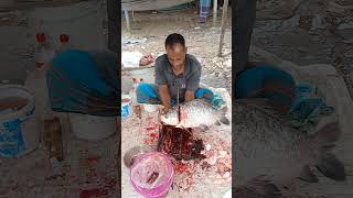 Wonderful Rohu Fish Cutting skill in Fish Market fishcutting [upl. by Hermosa]