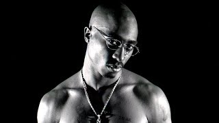 2Pac feat Eminem  Mr Makaveli Steelie Remix [upl. by Frendel]