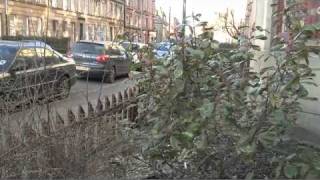 Exposed Shocking living conditions in Glasgows Govanhill [upl. by Anirehs]