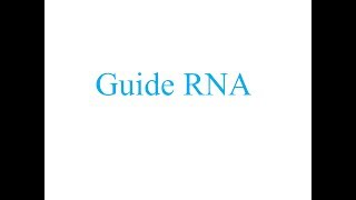 Guide RNA RNA Editing [upl. by Elburt688]