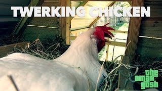 TWERKING CHICKEN [upl. by Ainoval]