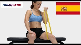 Entrenamiento completo con bandas de resistencia [upl. by Tamberg]