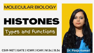 Histones  Types and Functions  Histones CSIR NET  Dr Pooja K [upl. by Kiefer]