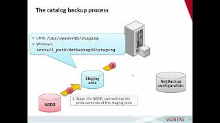 understanding Netbackup catalog [upl. by Nylsirhc]