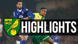 HIGHLIGHTS Everton 11 Norwich City [upl. by Eirak]