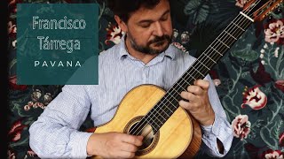 No nails technique  Francisco Tárrega  Pavana  classical guitar  gut strings [upl. by Hephzibah]