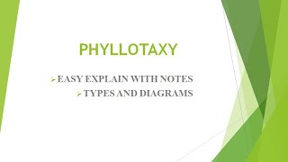 Phyllotaxydefinition and typesShort trickseasy explainBSC11th12TH NEETUGCNET [upl. by Letnom]