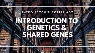 Introduction to Genetics and Shared Genes Intro Psych Tutorial 37 [upl. by Akcinehs]