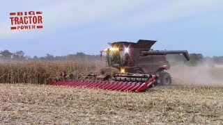 24 Row Corn Head by Geringhoff [upl. by Anirat751]