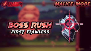 Tyrannys End  NEW Terraria Calamity Rust amp Dust Weapon Best Sniper Rifle in the 145 Update [upl. by Gaillard667]