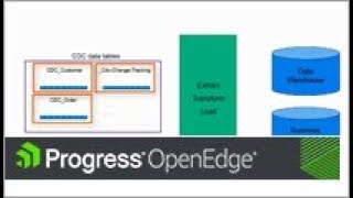 Purging Change Data Capture Data [upl. by Keenan206]