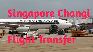 Singapore Changi Flight Transfer Procedure [upl. by Kirkwood]