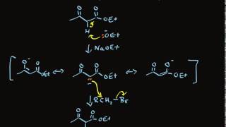 Acetoacetic Ester Synthesis of Methyl Ketones [upl. by Neerak627]