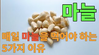 매일 마늘을 먹어야 하는 5가지 이유 0055 [upl. by Eninej]