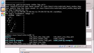 TinyCore  MicroCore  Install SSH Server headless server [upl. by Blessington178]