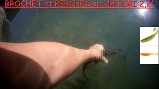 PECHE de la PERCHE et dun BROCHET aux LEURRES CAPERLAN en STREETFISHING natori 22 [upl. by Deden]