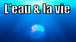 LEau et la Vie [upl. by Ydwor]