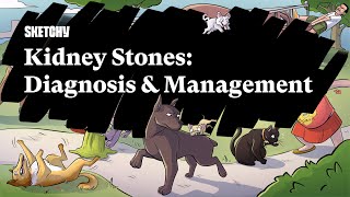 Kidney Stones Overview Diagnosis amp Management Part 1  Sketchy Medical  USMLE Step 2 CK [upl. by Basso]