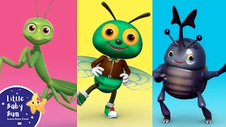 Bugs Bugs Bugs Bugs  Nursery Rhymes and Kids Songs  Little Baby Bum  Animal for Kids [upl. by Zetes49]