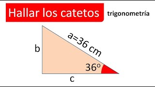 HALLAR LOS CATETOS CONOCEMOS LA HIPOTENUSA Y UN ÁNGULO Trigonometría [upl. by Madelene786]