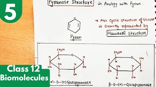 5 Pyranose or Haworth structure of glucoseglucopyranose structures Biomolecules class12 chemistry [upl. by Asoral]