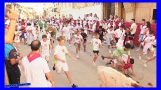 CADREITA  NAVARRA  TARDE ENCIERRO CHIQUI  MIERCOLES 19 JULIO 2023  GANADKYRA ZAPATERIA [upl. by Pacificia]