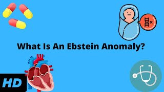 What Is An Ebstein Anomaly Heres Everything You Need To Know [upl. by Dahraf]